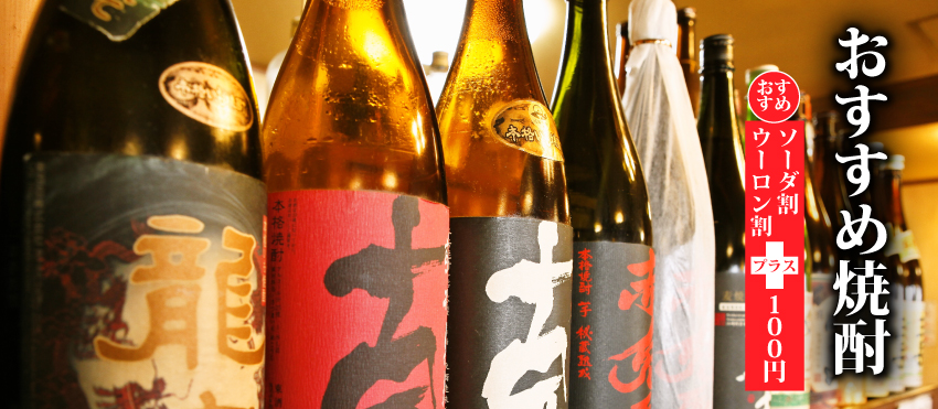 焼酎